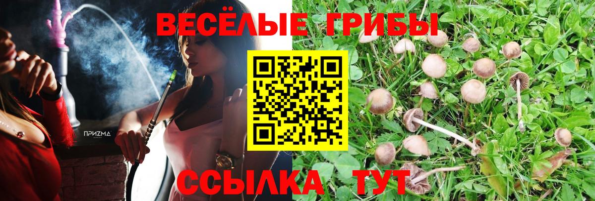 Псилоцибиновые грибы ЛСД Заволжье