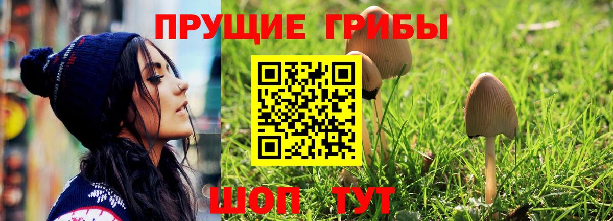 Галлюциногенные грибы мухоморы  Псилоцибиновые грибы прущие грибы  Вход с VPN  Заволжье 